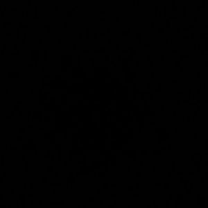 Meet your Posher, Savannah